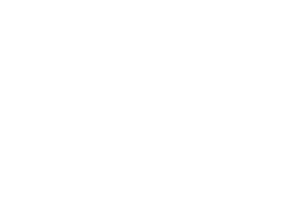 hassle-logo