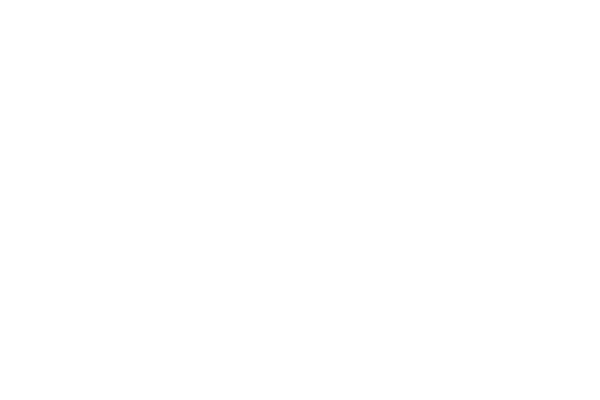 phin-logo