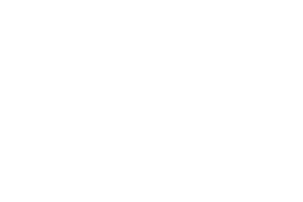 valextra-logo